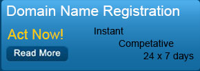 Domain Name Registration